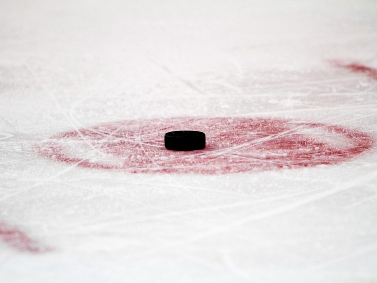 Luleå – Färjestad: Speltips, odds & vinnare av SHL final